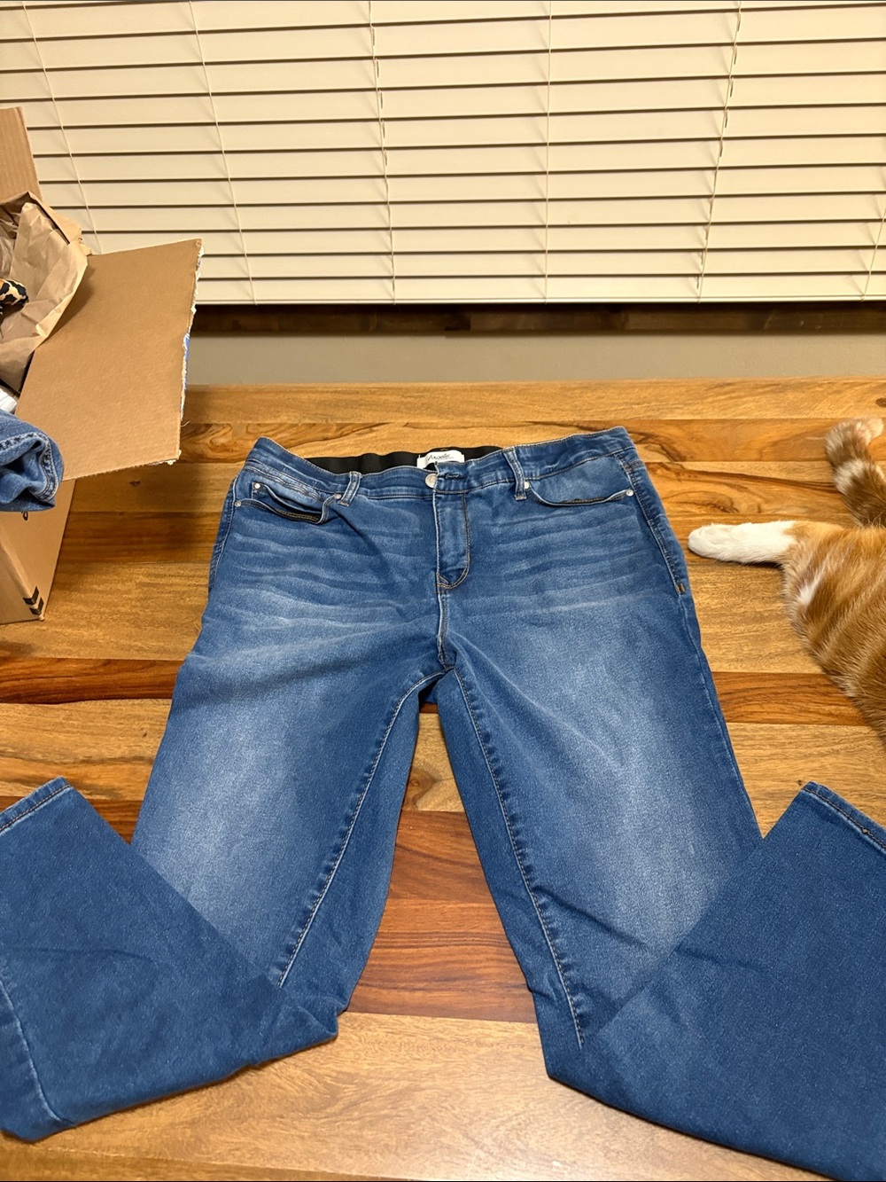 Angels Women’s Straight-Leg Jeans in Blue